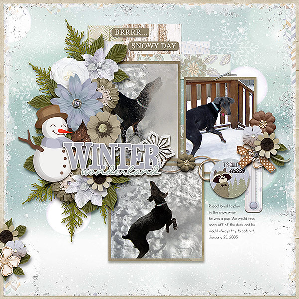 Winter Wonderland
