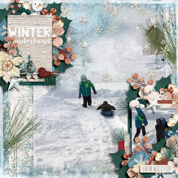 Winter Wonderland