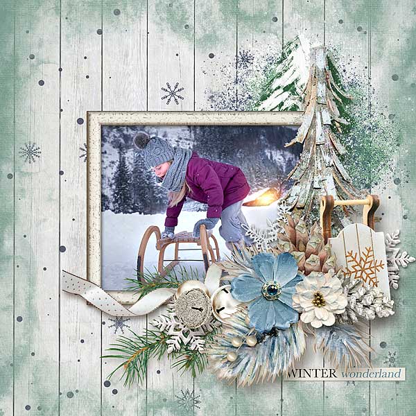 Winter Wonderland