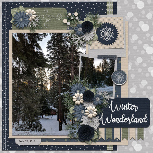 winter wonderland