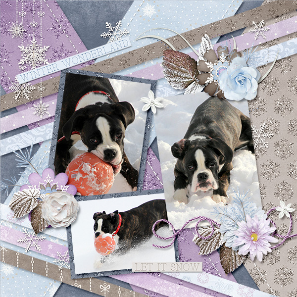 Winter wonderland