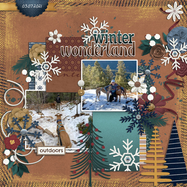 winter wonderland