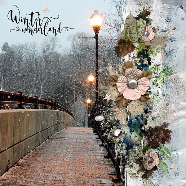 WINTER WONDERLAND