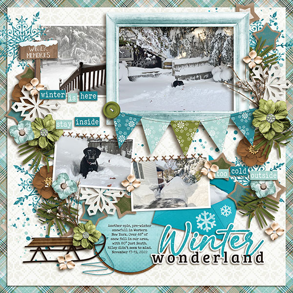 Winter Wonderland