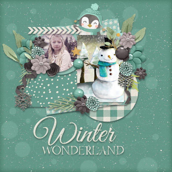 Winter Wonderland