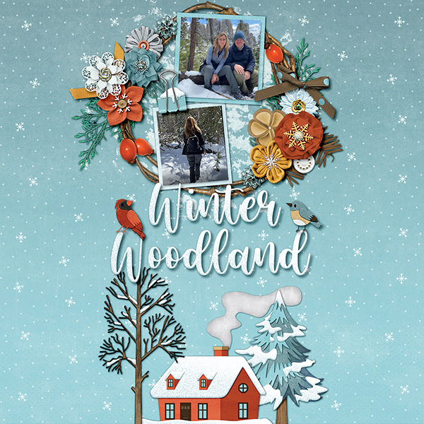 Winter Wonderland