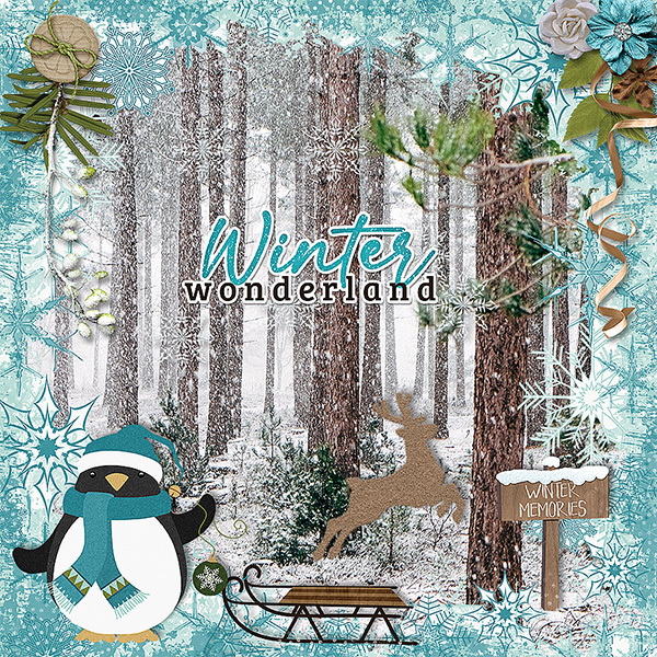 Winter Wonderland