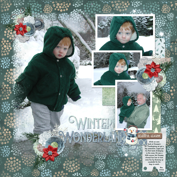 Winter Wonderland