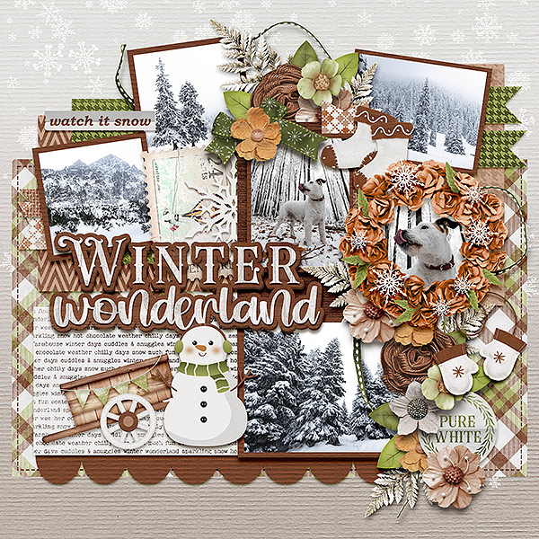 winter wonderland