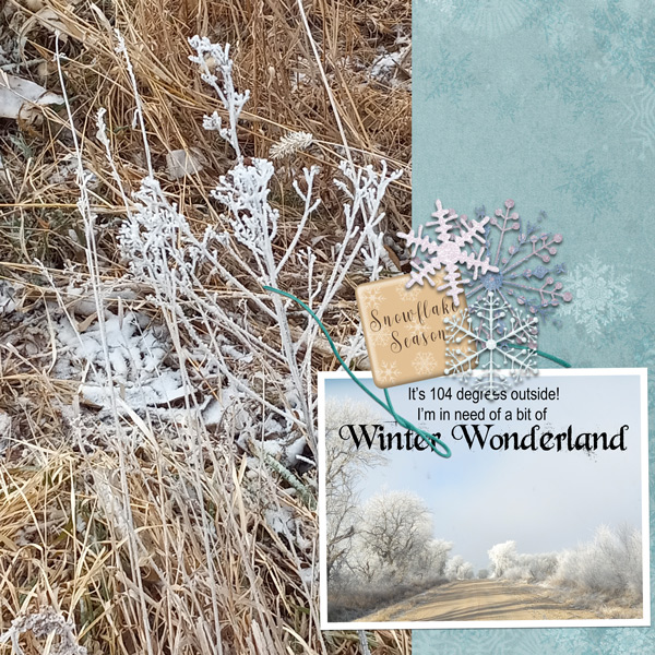Winter Wonderland