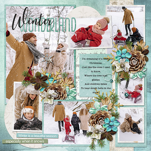 Winter Wonderland