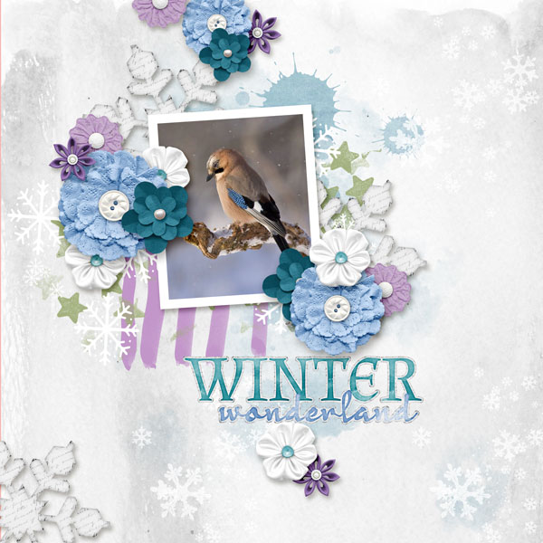 Winter Wonderland