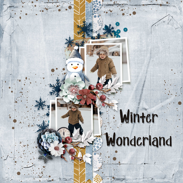 Winter Wonderland