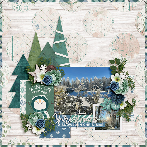 Winter Wonderland