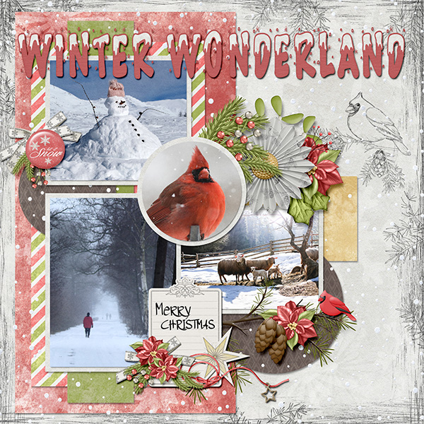 Winter wonderland
