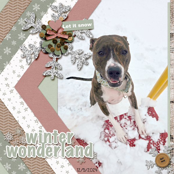 Winter Wonderland