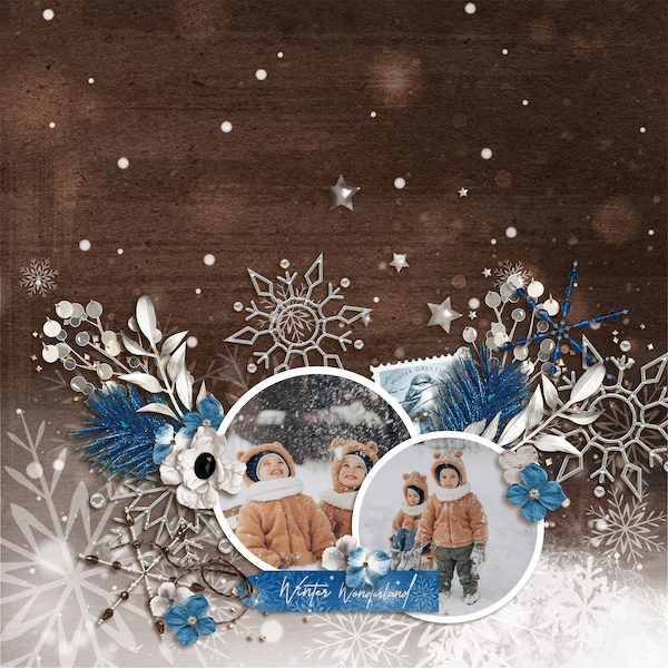 Winter Wonderland