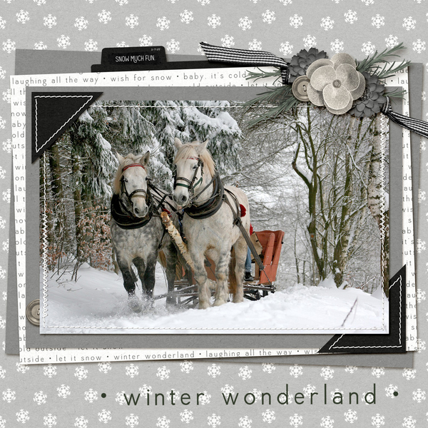 Winter Wonderland