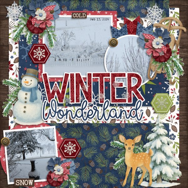 Winter Wonderland