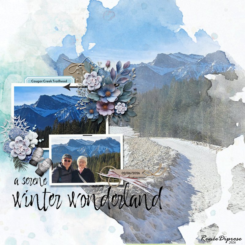 Winter Wonderland