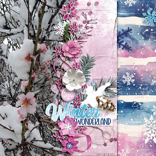 Winter wonderland