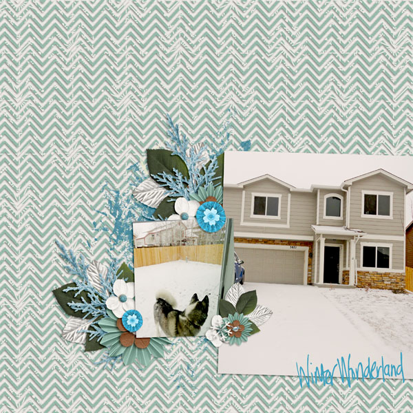 Winter Wonderland