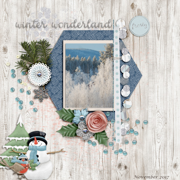 Winter-wonderland13