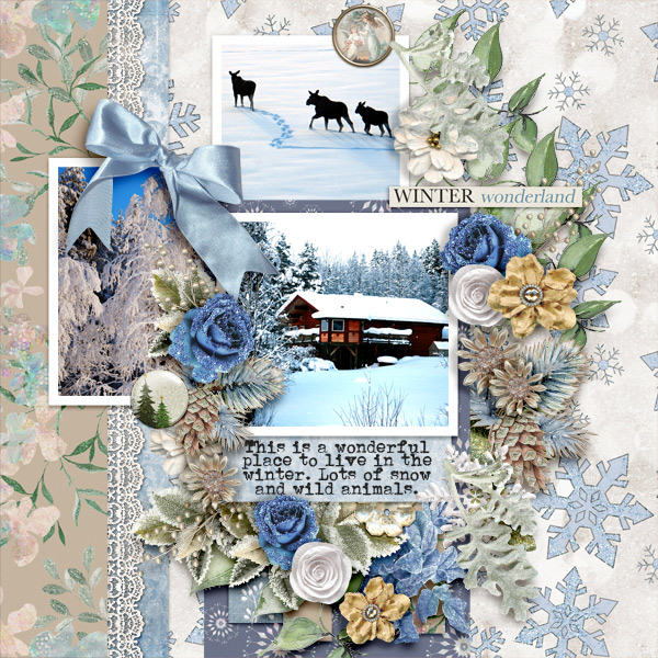 Winter-wonderland36