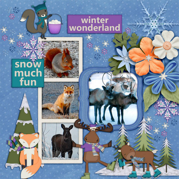 Winter-wonderland40