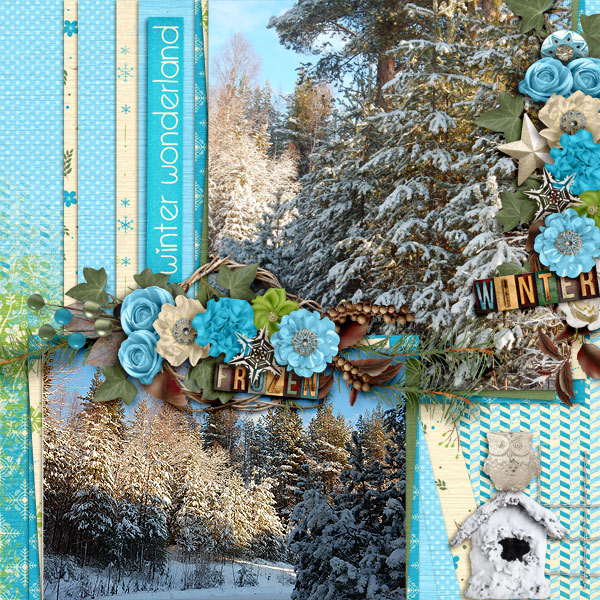Winter-wonderland8