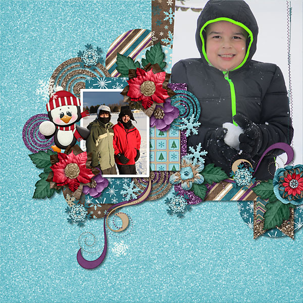 Winter wonders 01