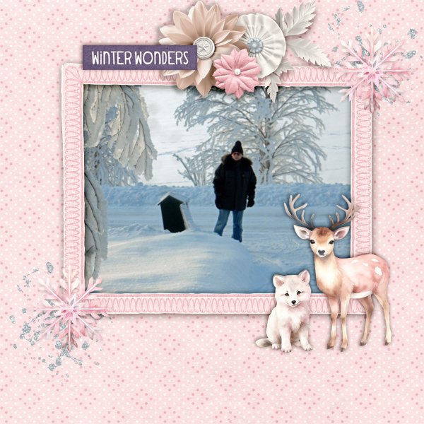 Winter-wonders.jpg
