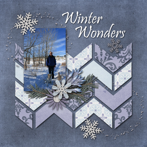 Winter Wonders