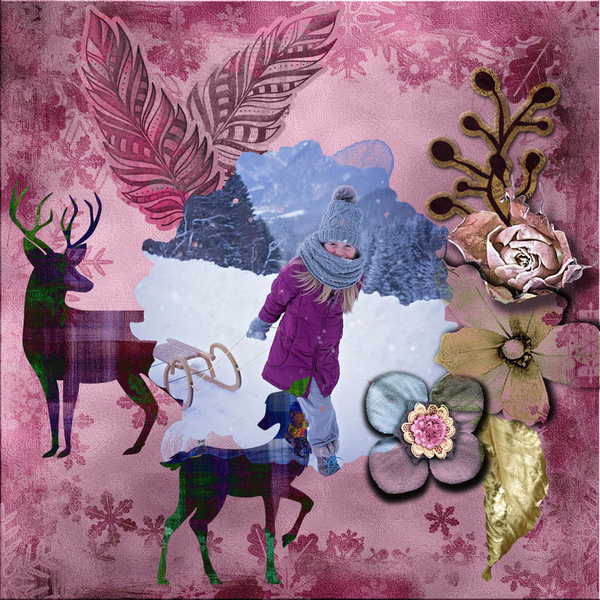 Winter Wonders