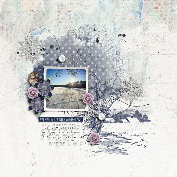 Winter Wonders
