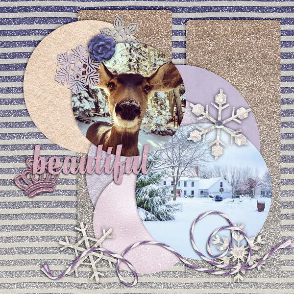 Winter Wonders