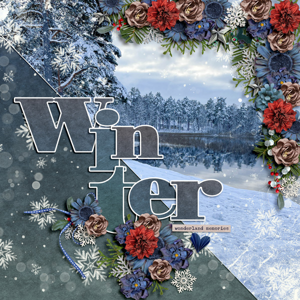 Winter Wonders