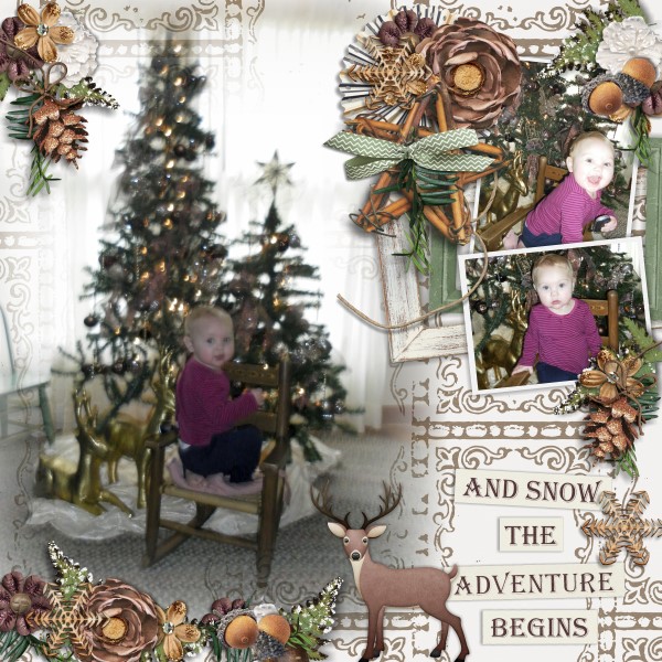 Winter Woodland #1