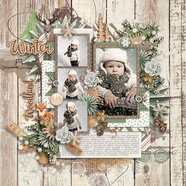 Winter Woodland -2