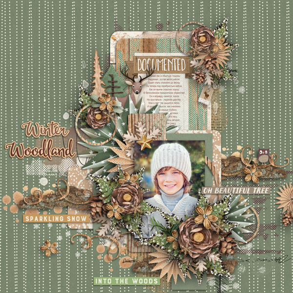 Winter Woodland