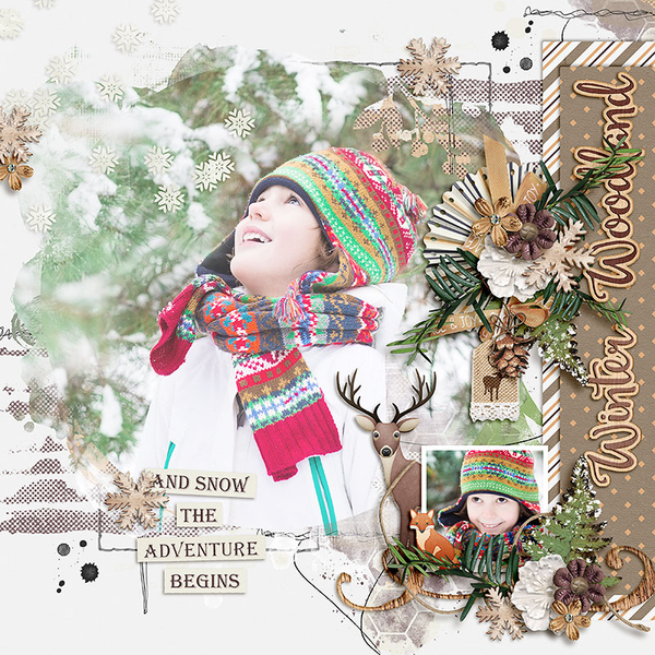 winter woodland