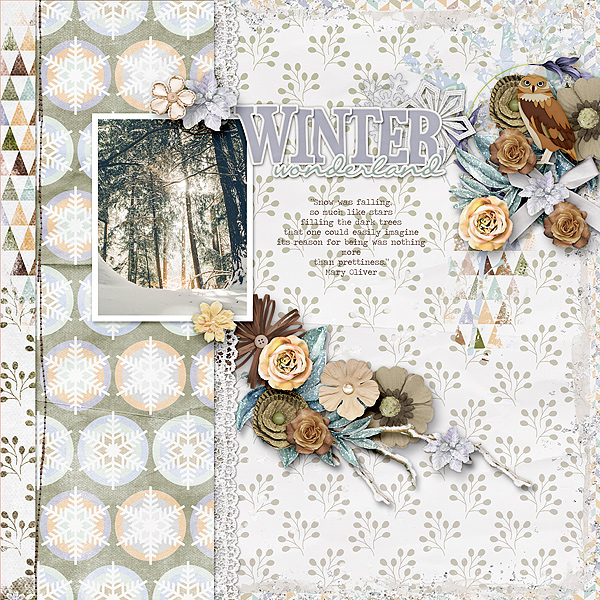 Winter Woodland