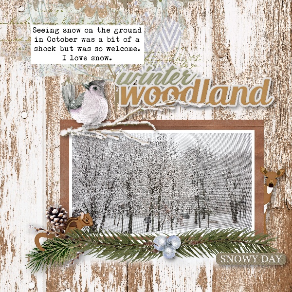 Winter Woodland