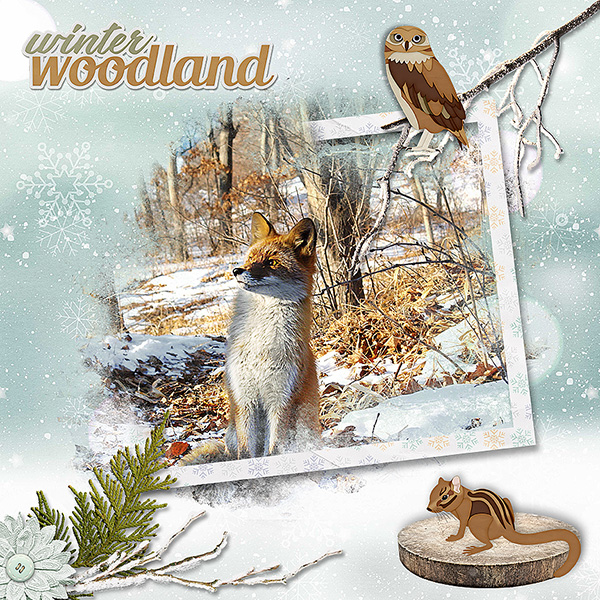 Winter Woodland