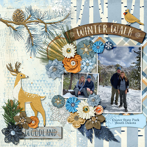 Winter Woodland