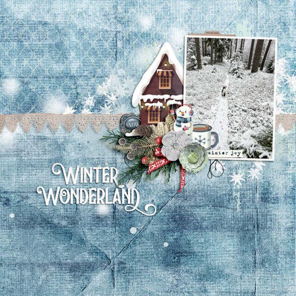 Winter Woodlands