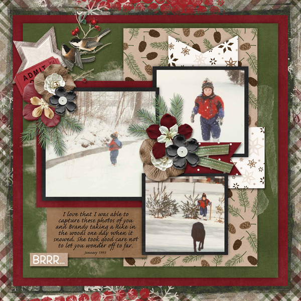 Winter Woods with Forever Young Template #2