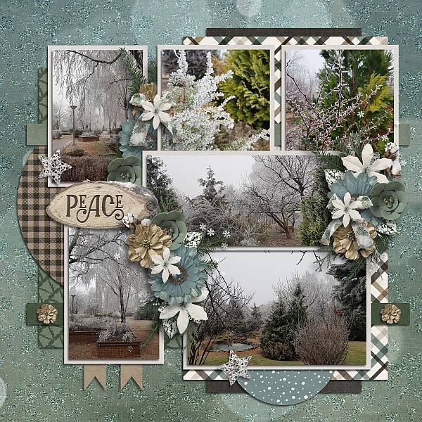 Winter woods