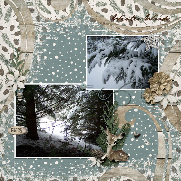 Winter Woods