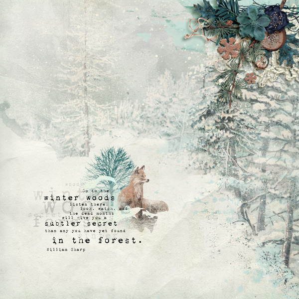 Winter Woods